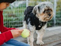 Teaching Kindness to Animals & Nature