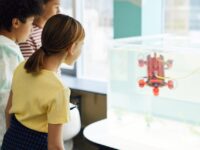 AI in Early Learning: Overcoming Language Barriers