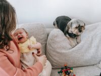 Preparing Your Pet for a New Baby