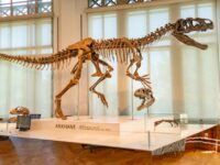 Exploring Dinosaurs: Family-Friendly Paleo Sites