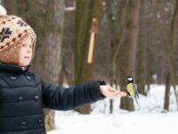 Bird Watching Retreats for Solo Parents & Kids