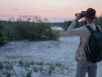 Solo Parent Travel Clubs: Bird Watching Companionship & Support