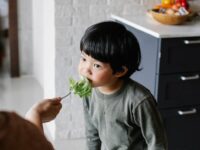 Brain Development in Infants: Nutrition’s Impact