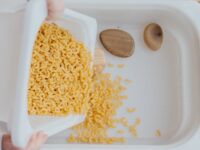 Sensory Bins: Beginner’s Guide for Babies