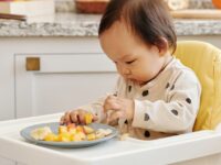 DIY Baby Food Safety Precautions