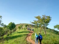 Quiet Time: Family Nature Walks & Hikes