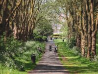 Quiet Time: Family Nature Walks and Hikes