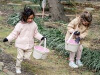 Kids’ Recycling and Nature Games for Travel